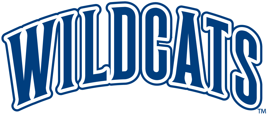 Villanova Wildcats 1996-Pres Wordmark Logo diy iron on heat transfer